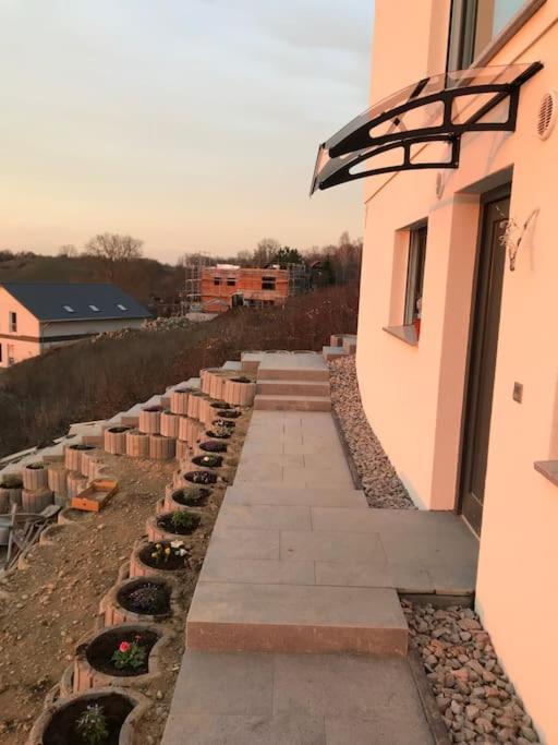 Vogesenblick Lägenhet Bad Bellingen Exteriör bild